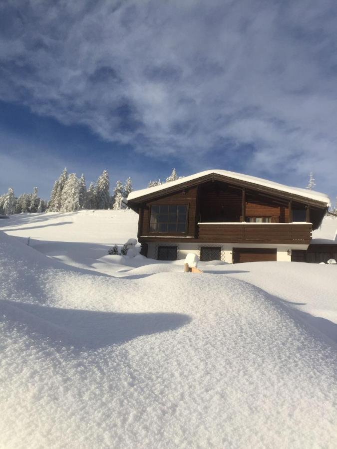 הוילה מונגואלפו Chalet Alpenblick מראה חיצוני תמונה